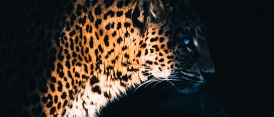 Yggdrasil Partners ReelPlay om de Jaguar SuperWays uit Bad Dingo vrij te geven